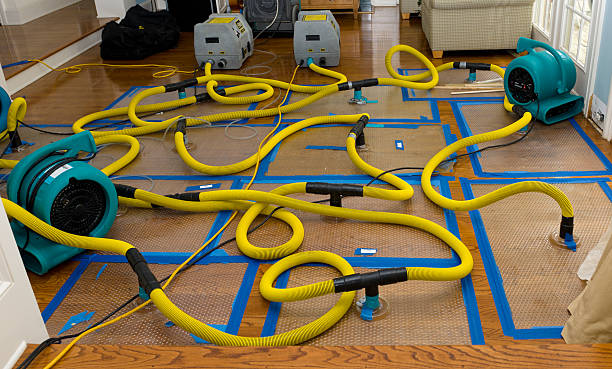 Professional Basement Flood Cleanup technician working in Tahuya, WA